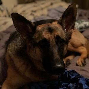 Meet your Posher, Todd